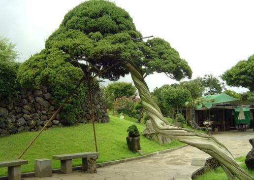 韓國濟州島十大旅游景點排行榜 濟州島有什么好玩的地方