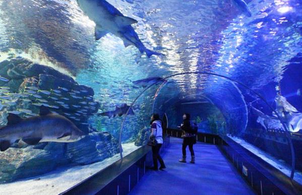 韓國釜山十大旅游景點排行榜 釜山有什么好玩的地方