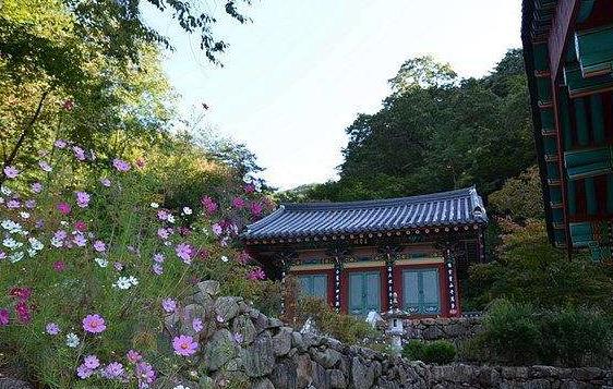 韓國慶尚南道十大旅游景點(diǎn)排行榜 慶尚南道有什么好玩的地方