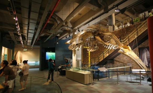 韓國蔚山六大旅游景點排行榜 蔚山有什么好玩的地方