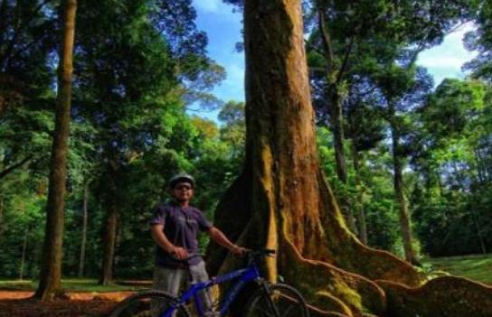 馬來(lái)西亞吉隆坡十大旅游景點(diǎn)排行榜 吉隆坡有什么好玩的地方