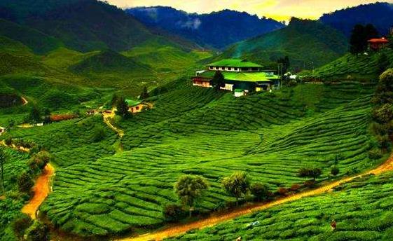 亞洲馬來西亞十大旅游景點排行榜 馬來西亞有什么好玩的地方