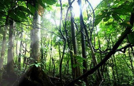 亞洲馬來西亞十大旅游景點排行榜 馬來西亞有什么好玩的地方