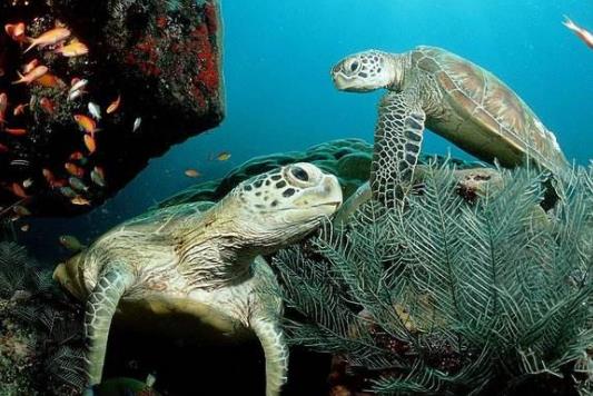 馬來西亞吉打州十大旅游景點(diǎn)排行榜 吉打州有什么好玩的地方