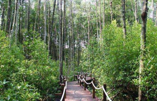 馬來(lái)西亞霹靂州十大旅游景點(diǎn)排行榜 霹靂州有什么好玩的地方