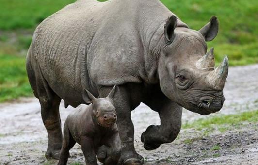 馬來西亞雪蘭莪州十大旅游景點排行榜 雪蘭莪州有什么好玩的地方