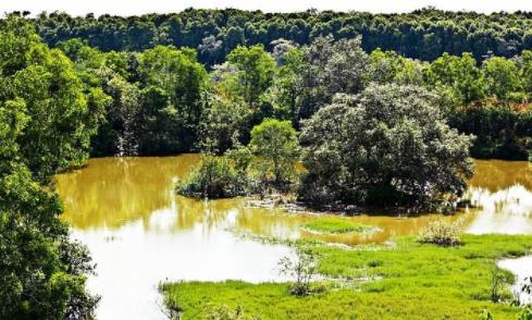 馬來西亞雪蘭莪州十大旅游景點排行榜 雪蘭莪州有什么好玩的地方