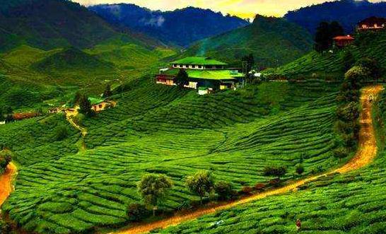 馬來西亞彭亨州十大旅游景點排行榜 彭亨州有什么好玩的地方