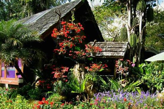 泰國清邁十大旅游景點排行榜 清邁旅游有什么好玩的地方