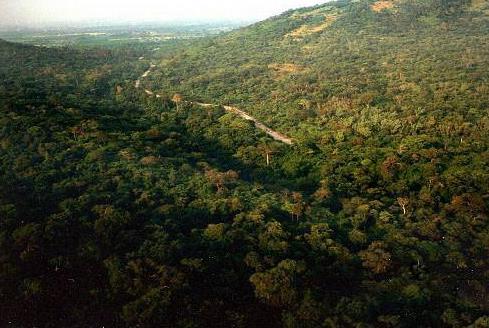 泰國(guó)素可泰府五大旅游景點(diǎn)排行榜 素可泰府旅游有什么好玩的地方