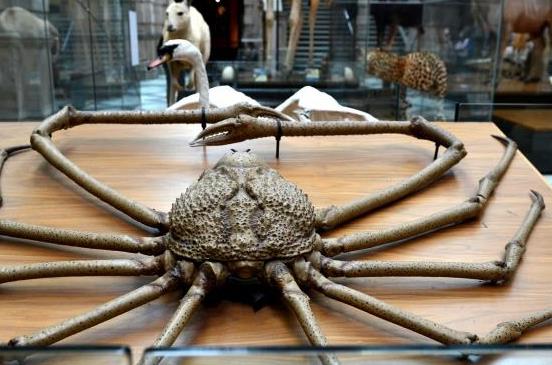 英格蘭蘇格蘭十大旅游景點排行榜 蘇格蘭好玩的地方推薦