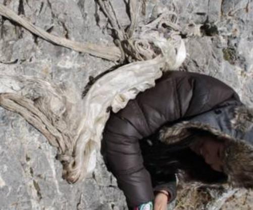 全球10大恐怖旅游禁地旅游景點排行 四川瓦屋山迷魂凼地形復雜