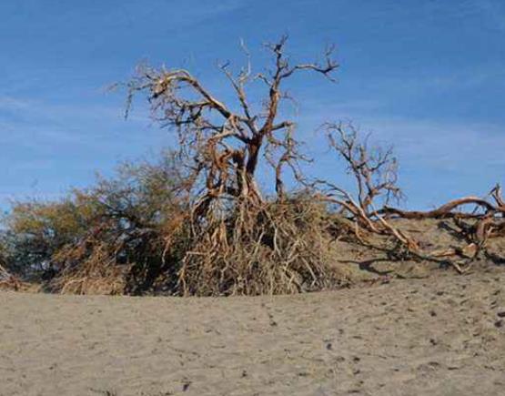 全球10大恐怖旅游禁地旅游景點排行 四川瓦屋山迷魂凼地形復雜