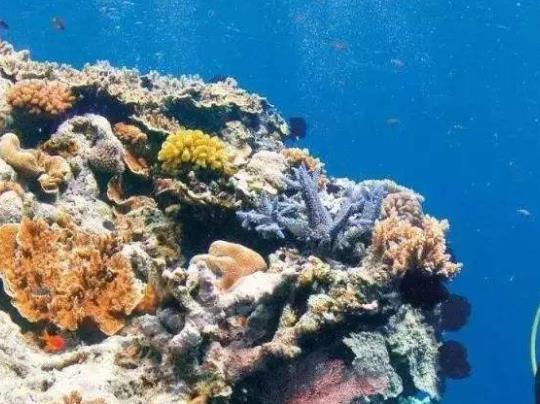 世界十大海底火山旅游景點排行 隆隆III是位于新西蘭北部的死火山