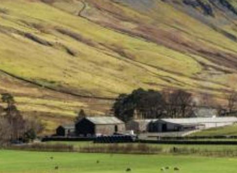 探訪全球十大最佳賞秋勝地旅游景點(diǎn)排行 日本的秋天美得驚人