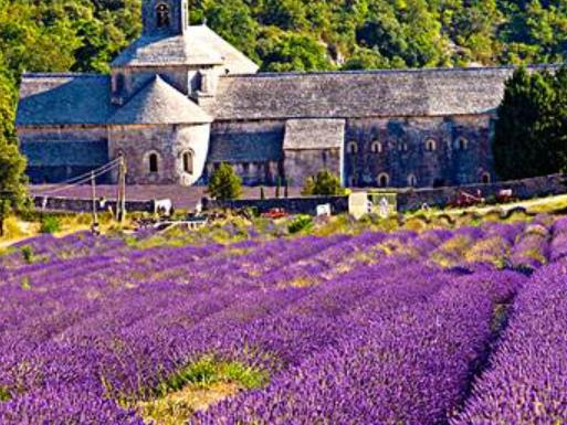 世界十大著名薰衣草浪漫觀賞地旅游排行 普羅旺斯是羅馬的一個行省