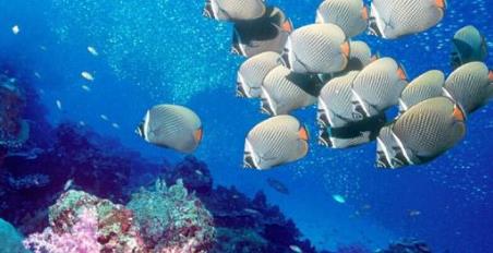 安徽旅游景點排行 安徽黃山中國5A級旅游景區