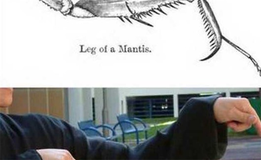 中國十大武術排名 太極拳只排第三