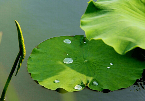 ���~��Ĺ�Ч-���~��ĸ����ü�ע�����(xi��ng)