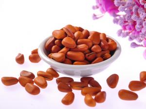 松子的功效及營養價值-吃松子的好處