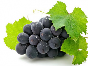 ʳ�þ޷����ѵ�ע�����(xi��ng) �޷����ѵĹ�Ч�c����