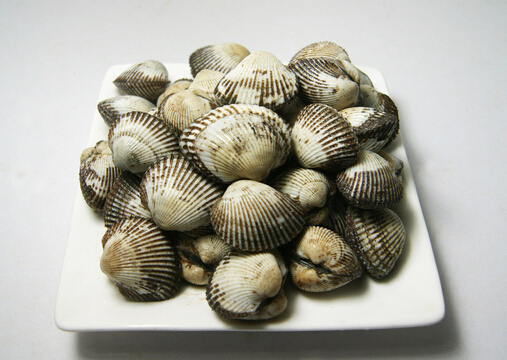 ë���ĺ���-ë��������