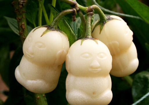 人參果怎么吃最養(yǎng)生?人參果的功效和作用