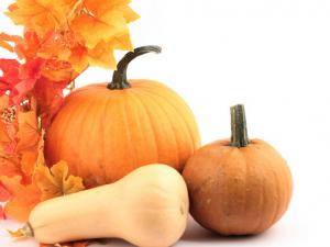 南瓜的營養價值-為什么南瓜是老的好？