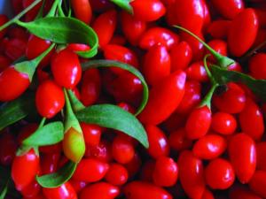 枸杞子怎么吃?枸杞子的作用與功效及食用方法