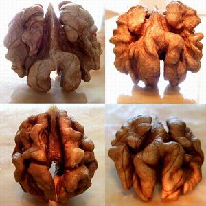 �Ժ�����ʲô��̎�����ҵĹ�Ч�c����