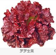 �_�_����