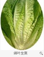 �d�~����