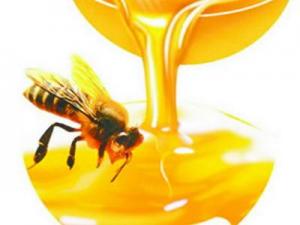 吃蜂膠有什么好處?蜂膠的作用與功效