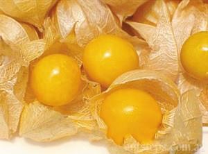 �|���������ʲôˮ�������B���ĠI�B�rֵ