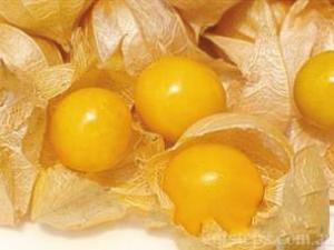 �|���������ʲôˮ�������B���ĠI(y��ng)�B(y��ng)�r(ji��)ֵ��ˎ�Ãr(ji��)ֵ