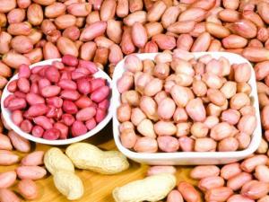 ����Ƥ�ܳԆ����P�ڳԻ�����Ҫ��Ҫ��Ƥ��