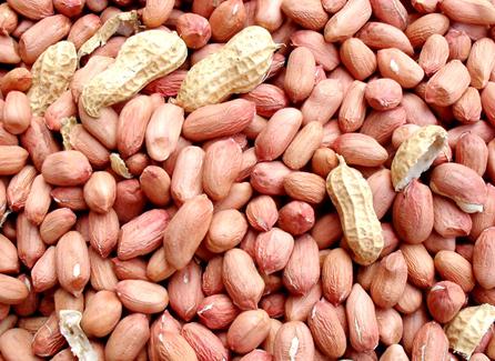 �Ի�������ʲô��̎�������׵ĠI�B�rֵ