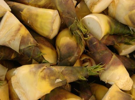 ���S�ĠI(y��ng)�B(y��ng)�r(ji��)ֵ-�Դ��S�ĺ�̎