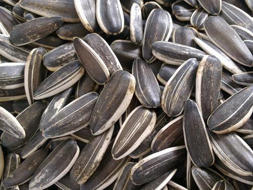 ���ӵĠI�B�rֵ-�����m��ʲô�˳�