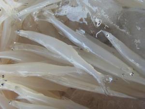 銀魚的營養價值-銀魚怎么吃最好