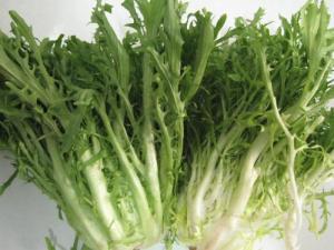 苦菊的營養價值-苦菊有什么功效