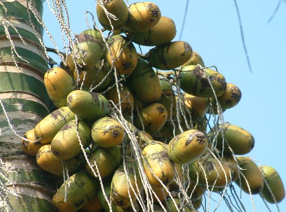 �ԙ��Ƶĺ�̎�����ƵĹ�Ч�����Ƶ�����