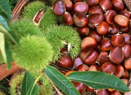 �����ĠI�B�rֵ-�԰�����ʲô��̎