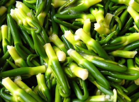 ɏ���ĵĹ�Ч�c����-ɏ������ʲô��̎