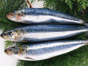 青魚的營養價值-青魚怎么做好吃