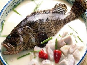 石斑魚的營養價值-石斑魚的食療作用