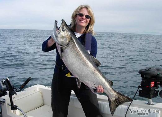 ������~�ĠI�B�rֵ-������~��ʳ����Ч