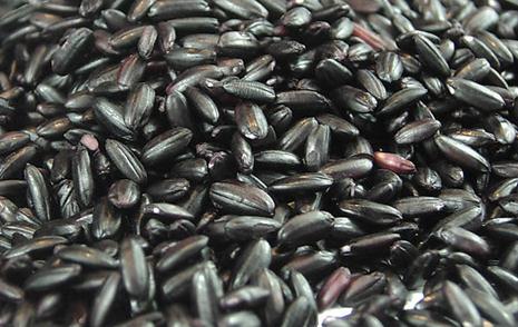 ���׵Ĺ�Ч�c����-���׵ĠI�B�rֵ