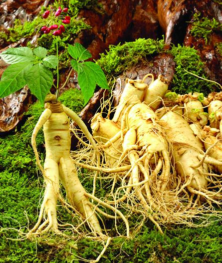 �˅��Ĺ�Ч�c����-���˅���ʲô��̎