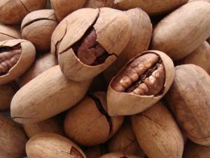 �̸����óԆ����̸�����ô�Ժ�������ɽ����Ҫ��ô�Ը��I�B